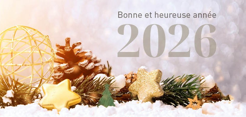 Carte de vœux pompier 2025 pour fêtes de fin d’année Carte de vœux pompier 2025 pour fêtes de fin d’année