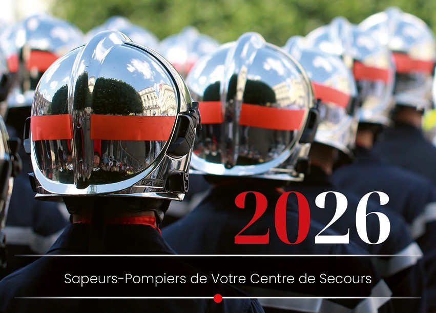Calendrier en ligne 12 pages modèle 1