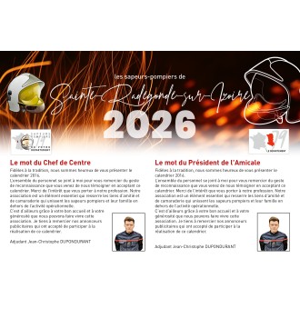 Calendrier en ligne 16 pages modèle 9