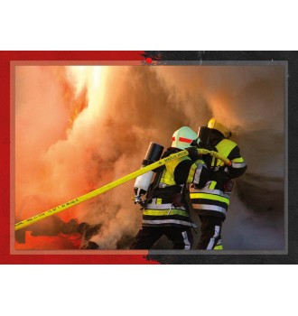 Calendrier en ligne 16 pages modèle 4