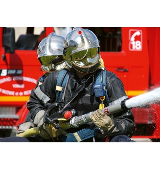 Calendrier en ligne 12 pages modèle 1