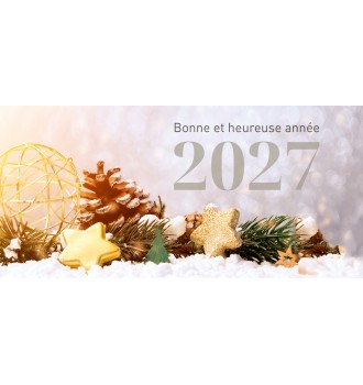 Cartes de voeux personnalisable modèle 5